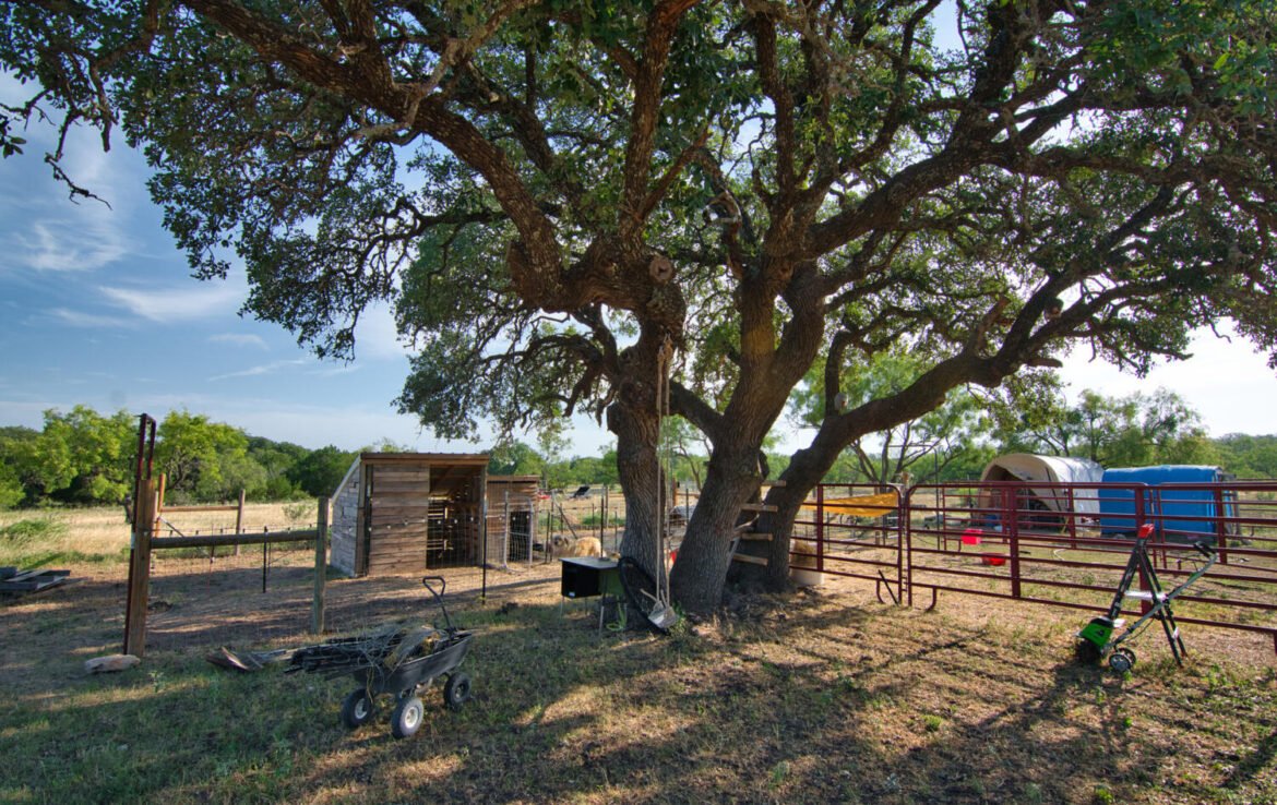 20.48 acres | Elm Springs Ranch | Menard, TX – Lehmberg Realty